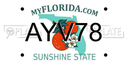 AYV78 Florida License Plate