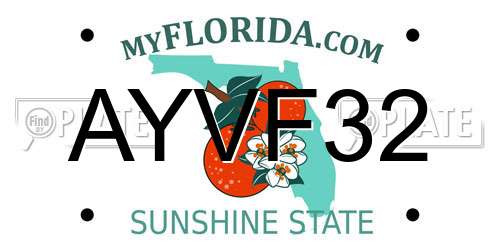 AYVF32 Florida License Plate