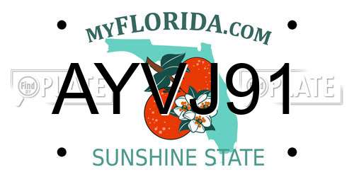 AYVJ91 Florida License Plate