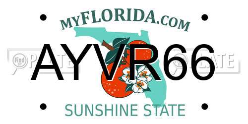 AYVR66 Florida License Plate