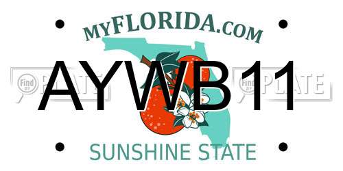 AYWB11 Florida License Plate