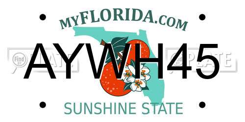 AYWH45 Florida License Plate