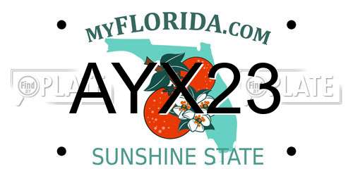 AYX23 Florida License Plate