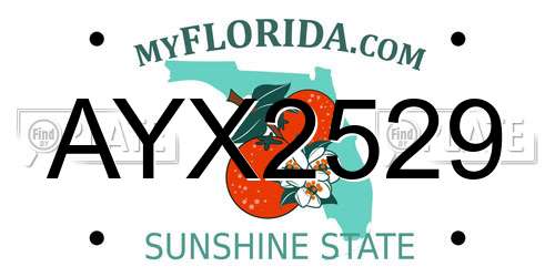 AYX2529 Florida License Plate