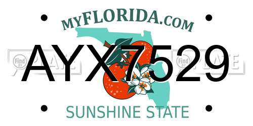 AYX7529 Florida License Plate