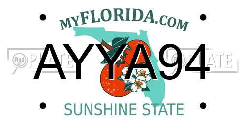 AYYA94 Florida License Plate