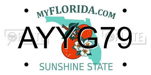 AYYG79 Florida License Plate