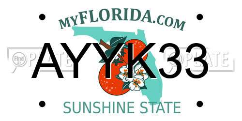 AYYK33 Florida License Plate