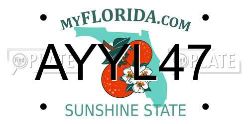 AYYL47 Florida License Plate