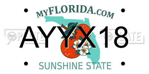 AYYX18 Florida License Plate