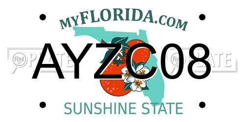 AYZC08 Florida License Plate