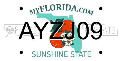 AYZJ09 Florida License Plate