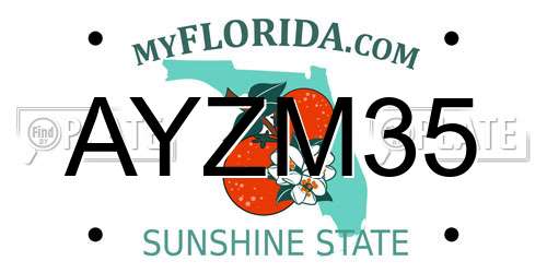 AYZM35 Florida License Plate