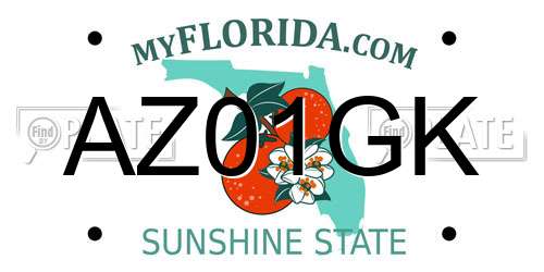 AZ01GK Florida License Plate
