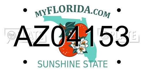 AZ04153 Florida License Plate