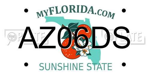 AZ06DS Florida License Plate