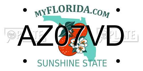 AZ07VD Florida License Plate