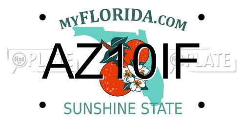 AZ10IF Florida License Plate