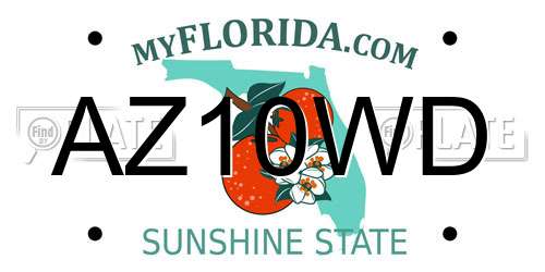 AZ10WD Florida License Plate