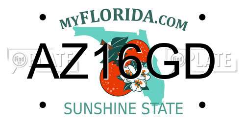 AZ16GD Florida License Plate