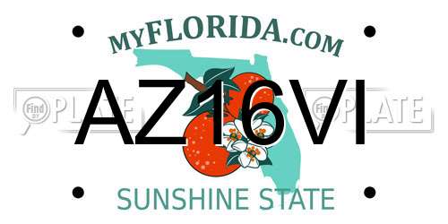 AZ16VI Florida License Plate