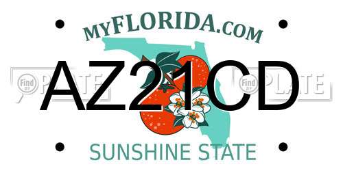 AZ21CD Florida License Plate