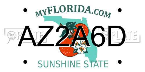 AZ2A6D Florida License Plate