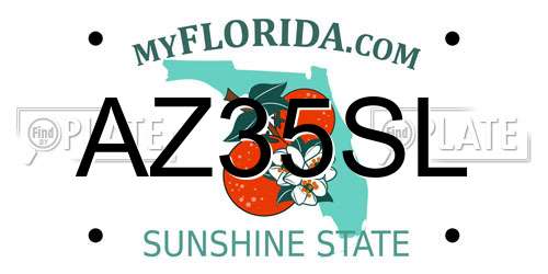 AZ35SL Florida License Plate
