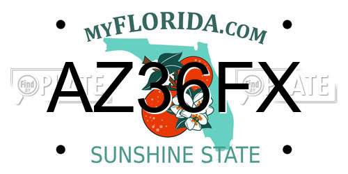 AZ36FX Florida License Plate