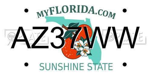 AZ37WW Florida License Plate
