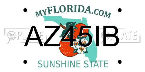 AZ45IB Florida License Plate
