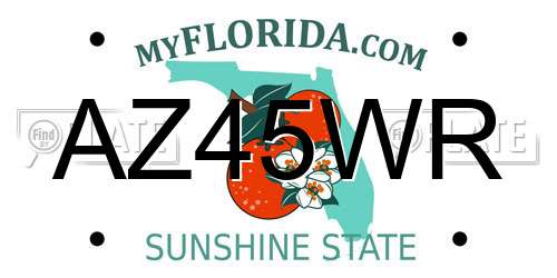 AZ45WR Florida License Plate