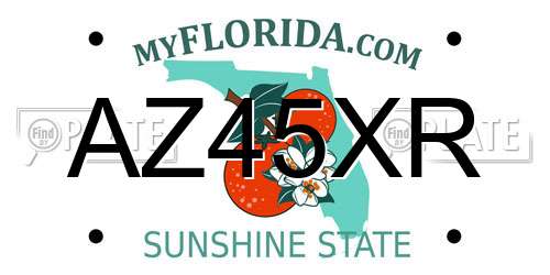 AZ45XR Florida License Plate