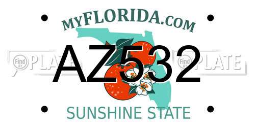 AZ532 Florida License Plate