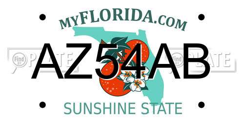 AZ54AB Florida License Plate