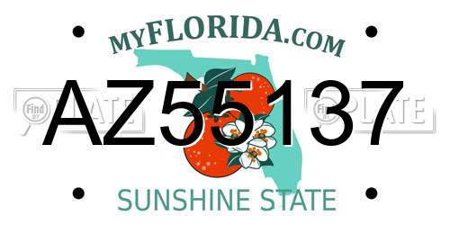 AZ55137 Florida License Plate