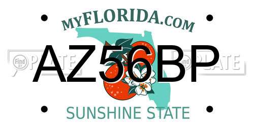 AZ56BP Florida License Plate