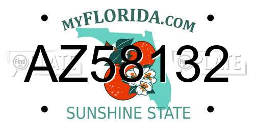 AZ58132 Florida License Plate