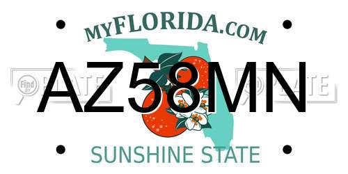 AZ58MN Florida License Plate