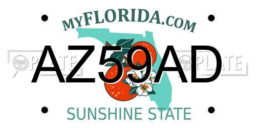AZ59AD Florida License Plate