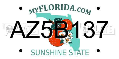 AZ5B137 Florida License Plate