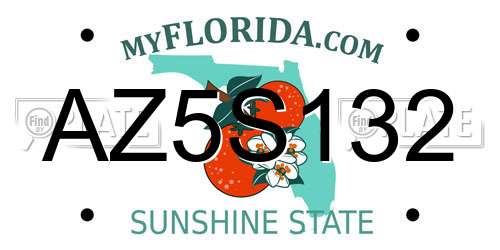 AZ5S132 Florida License Plate