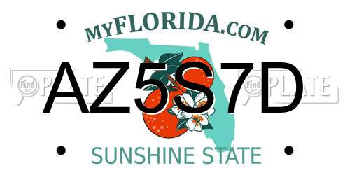 AZ5S7D Florida License Plate