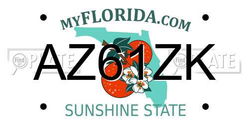 AZ61ZK Florida License Plate