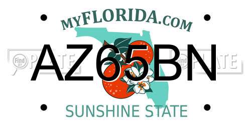 AZ65BN Florida License Plate