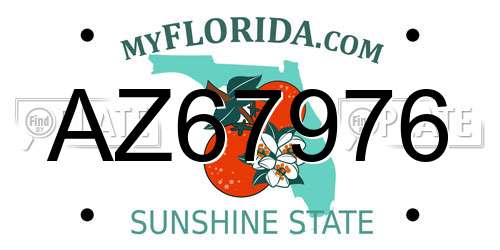 AZ67976 Florida License Plate