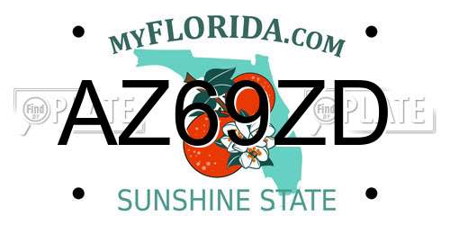 AZ69ZD Florida License Plate