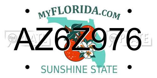 AZ6Z976 Florida License Plate