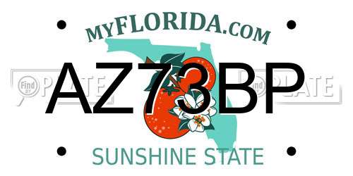 AZ73BP Florida License Plate