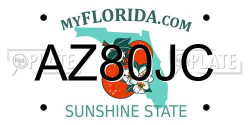 AZ80JC Florida License Plate